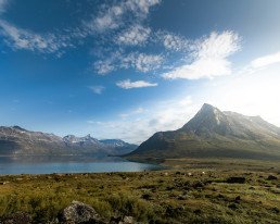 Montagne e tundra in Groenlandia
