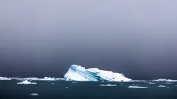 Ghiaccio nelle acque di un fiordo della Groenlandia
