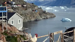 Abitante della Groenlandia con una gallina