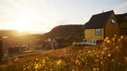 Fiori davanti a una casa a Qaqortoq