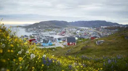 Fiori e panorama di Qaqortoq in Groenlandia
