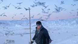 Pescatore sul ghiaccio e gabbiani a Ilulissat